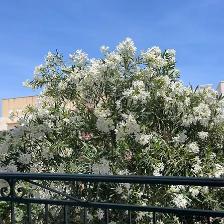 בית נופש Casa Finuzza סן ויטו לו קאפו
